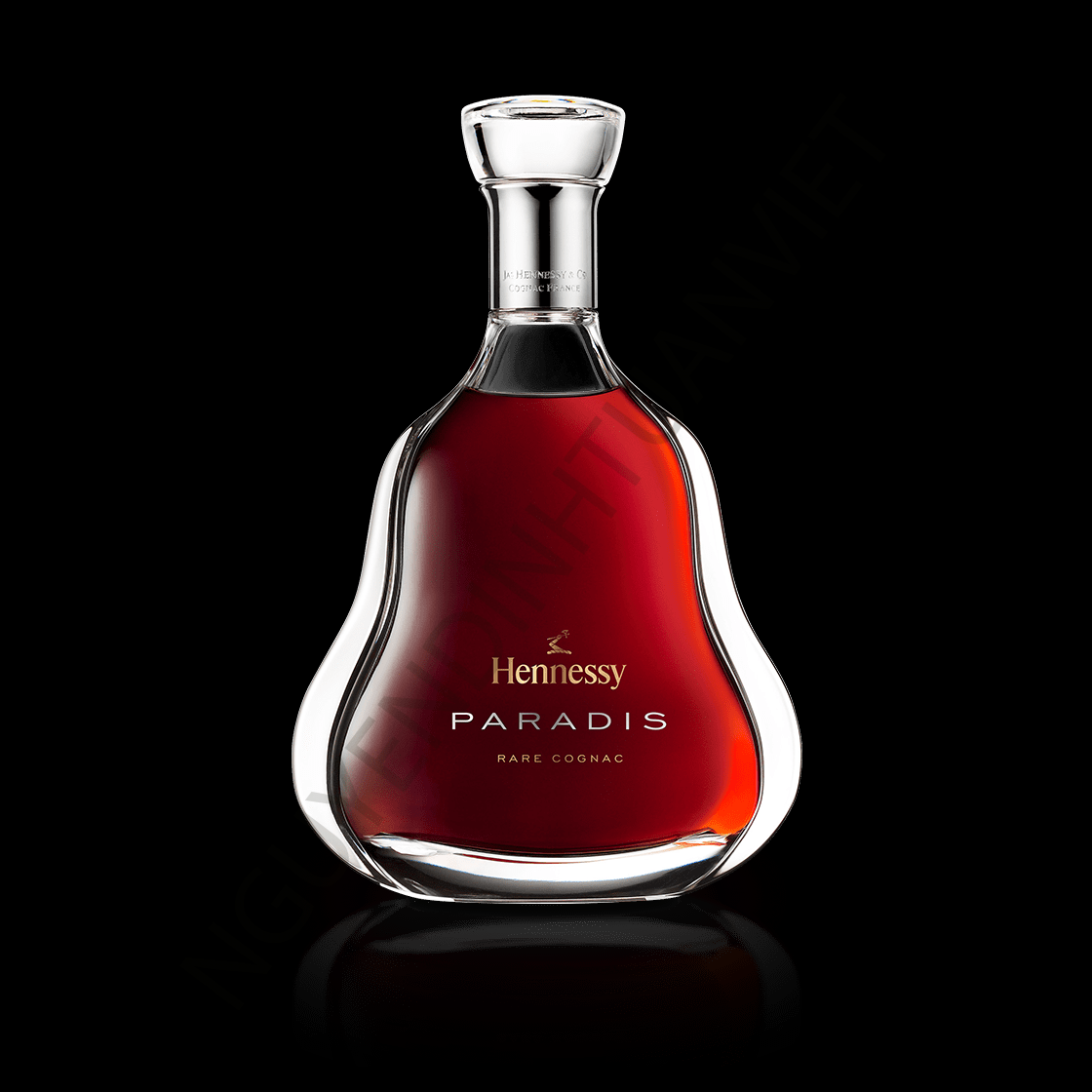 hennessy-paradis